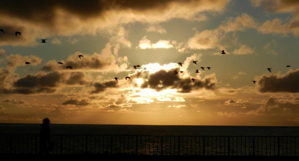 sip bacardi. like it’s your birthday.